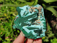 Natural Drusy Coated Chrysocolla with Malachite x 6 From Lupoto Mine, Congo