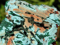 Natural Drusy Coated Chrysocolla with Malachite x 6 From Lupoto Mine, Congo