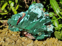 Natural Drusy Coated Chrysocolla with Malachite x 6 From Lupoto Mine, Congo