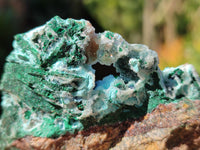 Natural Drusy Coated Chrysocolla with Malachite x 6 From Lupoto Mine, Congo