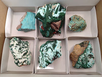 Natural Drusy Coated Chrysocolla with Malachite x 6 From Lupoto Mine, Congo
