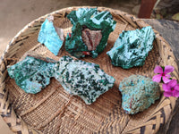 Natural Drusy Coated Chrysocolla with Malachite x 6 From Lupoto Mine, Congo
