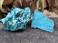 Natural Drusy Coated Chrysocolla with Malachite x 6 From Lupoto Mine, Congo