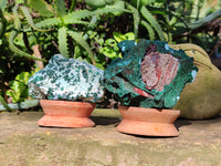 Natural Drusy Coated Chrysocolla with Malachite x 6 From Lupoto Mine, Congo
