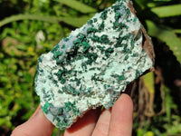 Natural Drusy Coated Chrysocolla with Malachite x 6 From Lupoto Mine, Congo