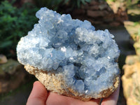 Natural Celestite Geode Specimens x 2 From Sakoany, Madagascar