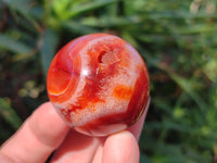 Polished Carnelian Spheres x 12 From Madagascar