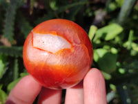 Polished Carnelian Spheres x 12 From Madagascar