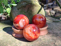 Polished Carnelian Spheres x 12 From Madagascar