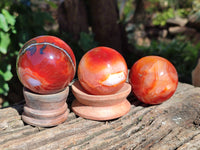 Polished Carnelian Spheres x 12 From Madagascar