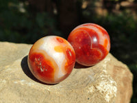 Polished Carnelian Spheres x 12 From Madagascar