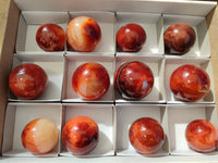 Polished Carnelian Spheres x 12 From Madagascar