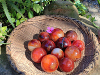 Polished Carnelian Spheres x 12 From Madagascar