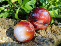 Polished Carnelian Spheres x 12 From Madagascar