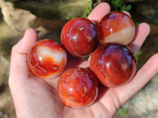 Polished Carnelian Spheres x 12 From Madagascar