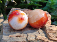Polished Carnelian Spheres x 12 From Madagascar