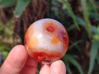 Polished Carnelian Spheres x 12 From Madagascar