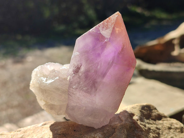 Natural Jacaranda Amethyst Quartz Crystals x 6 From Mumbwa, Zambia