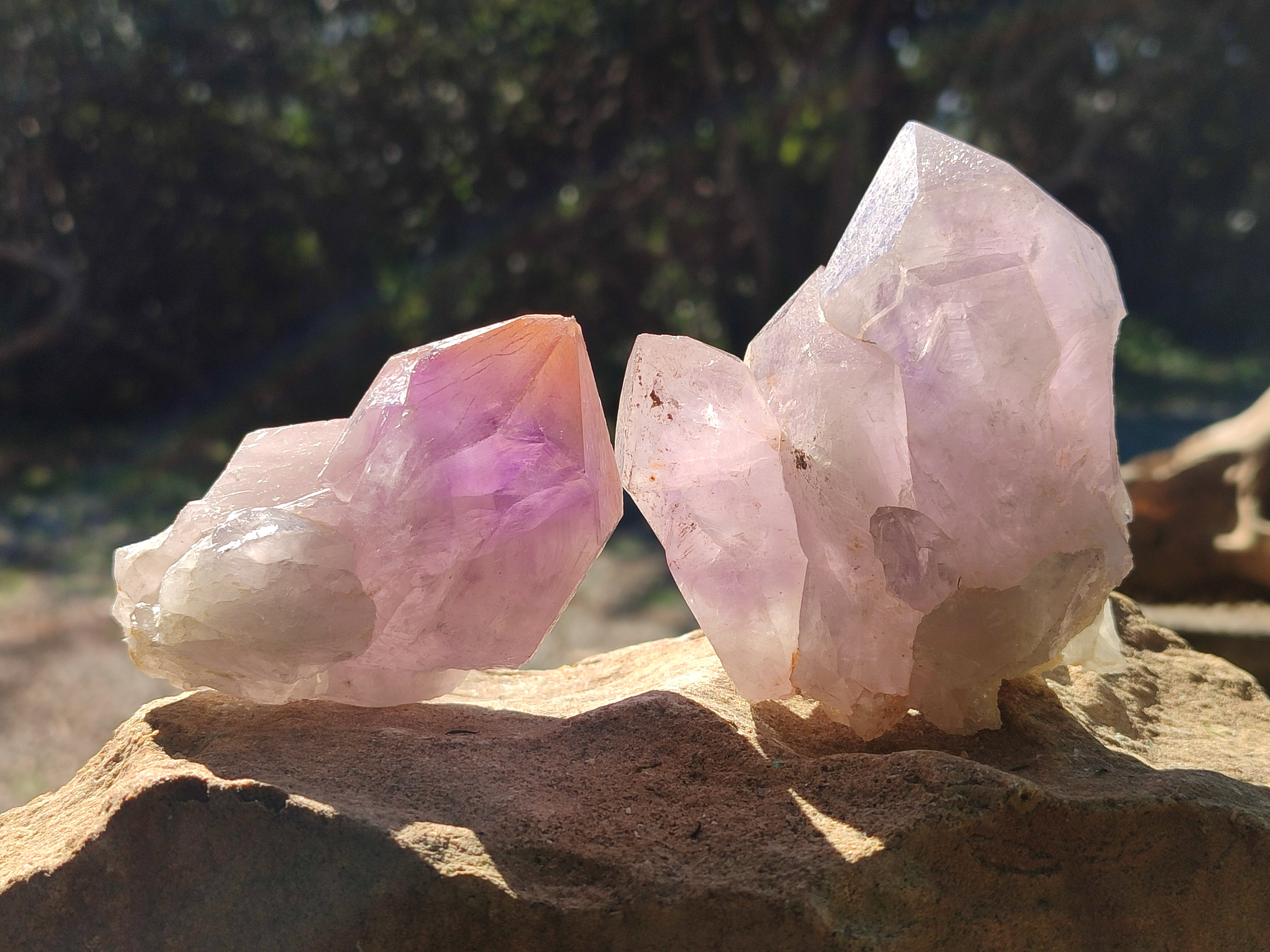 Natural Jacaranda Amethyst Quartz Crystals x 6 From Mumbwa, Zambia - Toprock Gemstones and Minerals 
