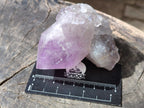 Natural Jacaranda Amethyst Quartz Crystals x 6 From Mumbwa, Zambia - Toprock Gemstones and Minerals 