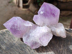 Natural Jacaranda Amethyst Quartz Crystals x 6 From Mumbwa, Zambia - Toprock Gemstones and Minerals 