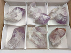 Natural Jacaranda Amethyst Quartz Crystals x 6 From Mumbwa, Zambia - Toprock Gemstones and Minerals 