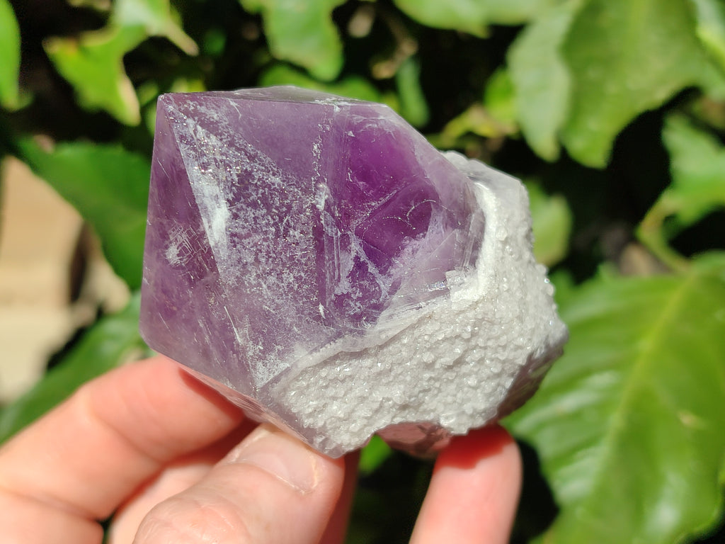 Natural Jacaranda Amethyst Quartz Crystals x 6 From Mumbwa, Zambia - Toprock Gemstones and Minerals 