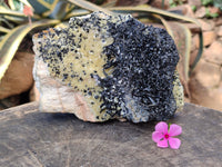 Natural Schorl Black Tourmaline with Vermiculite and Feldspar x 1 From Erongo, Namibia - Toprock Gemstones and Minerals 