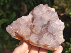 Natural Cactus Flower Smokey Amethyst Spirit Clusters x 3 From South Africa - Toprock Gemstones and Minerals 