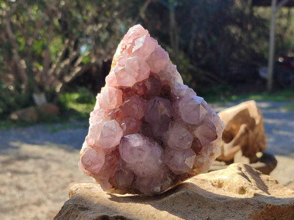 Natural Cactus Flower Smokey Amethyst Spirit Clusters x 3 From South Africa - Toprock Gemstones and Minerals 