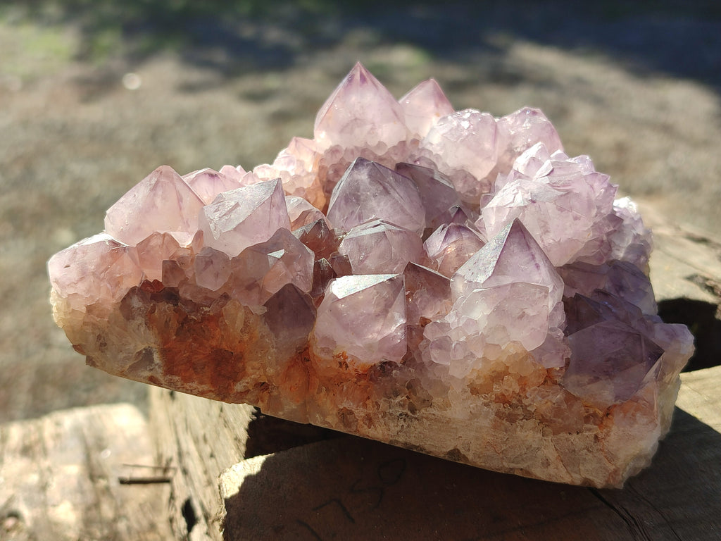 Natural Cactus Flower Smokey Amethyst Spirit Clusters x 3 From South Africa - Toprock Gemstones and Minerals 