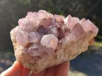 Natural Cactus Flower Smokey Amethyst Spirit Clusters x 3 From South Africa - Toprock Gemstones and Minerals 