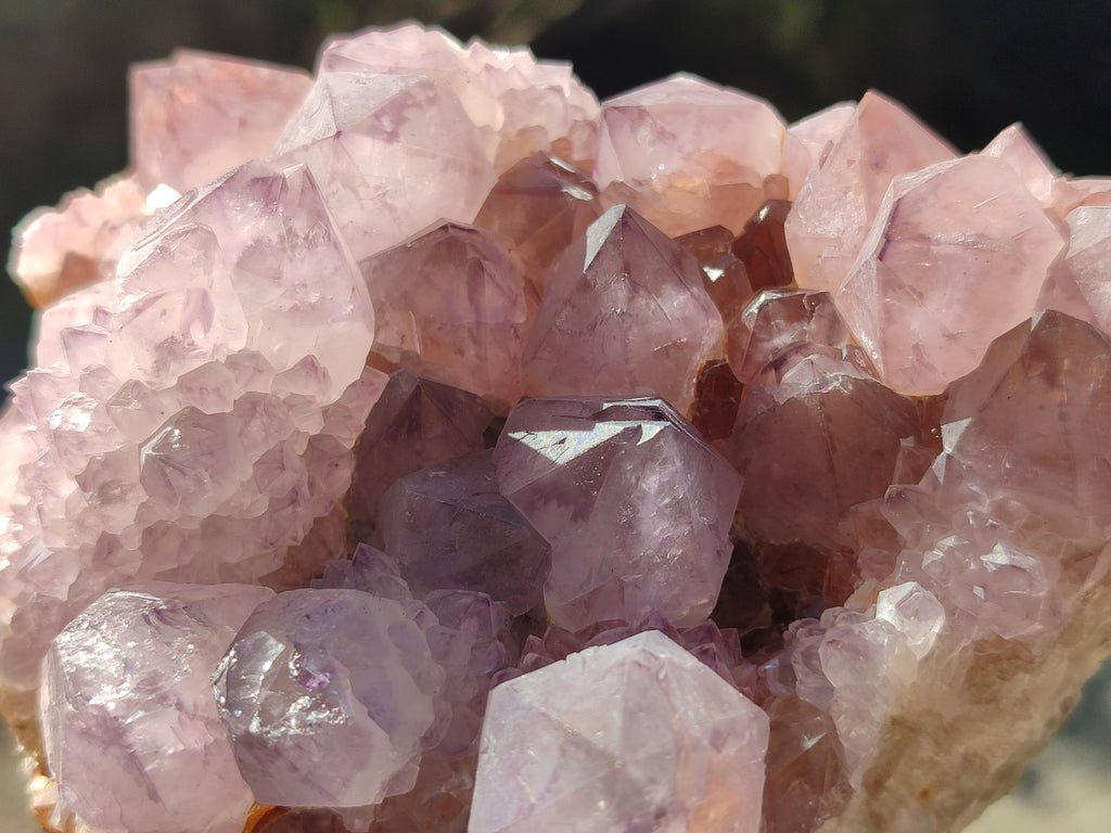 Natural Cactus Flower Smokey Amethyst Spirit Clusters x 3 From South Africa - Toprock Gemstones and Minerals 
