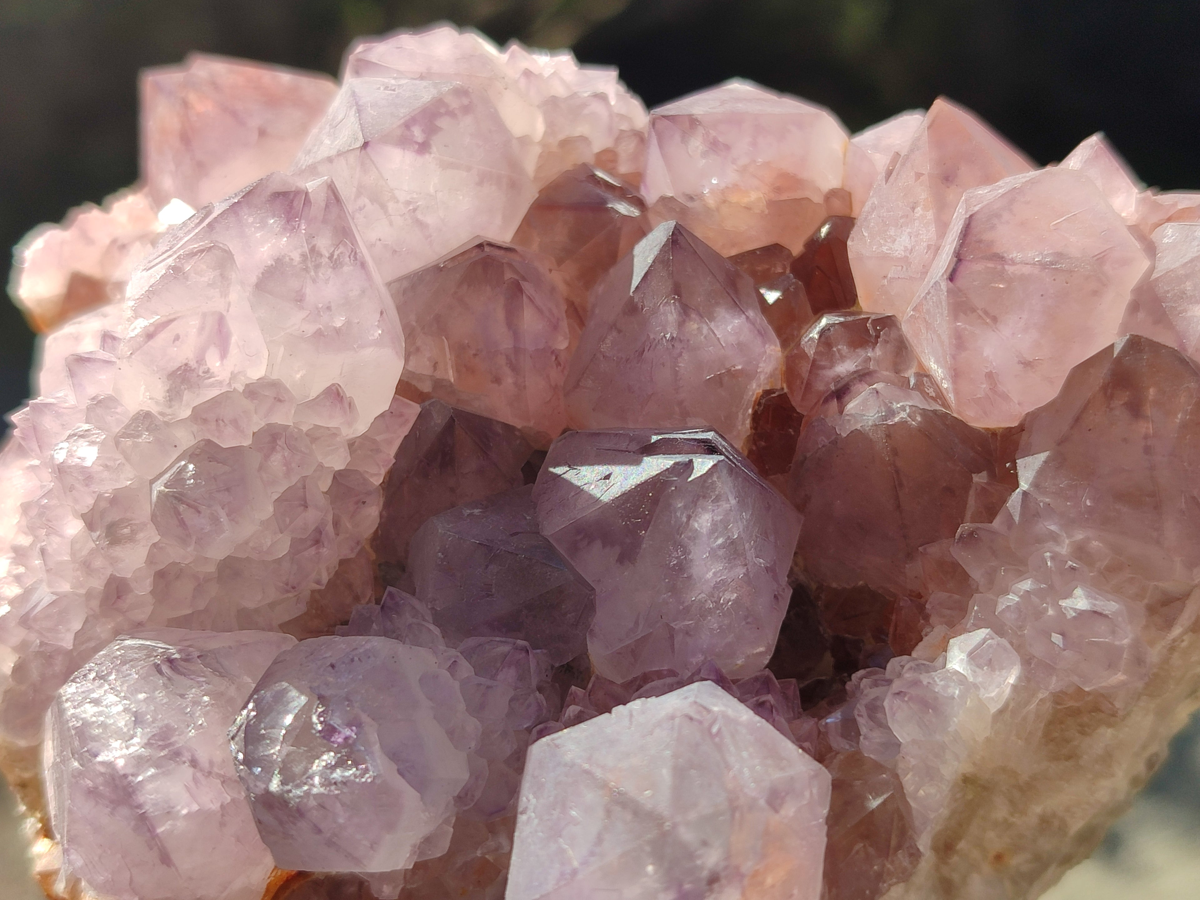 Natural Cactus Flower Smokey Amethyst Spirit Clusters x 3 From South Africa - Toprock Gemstones and Minerals 