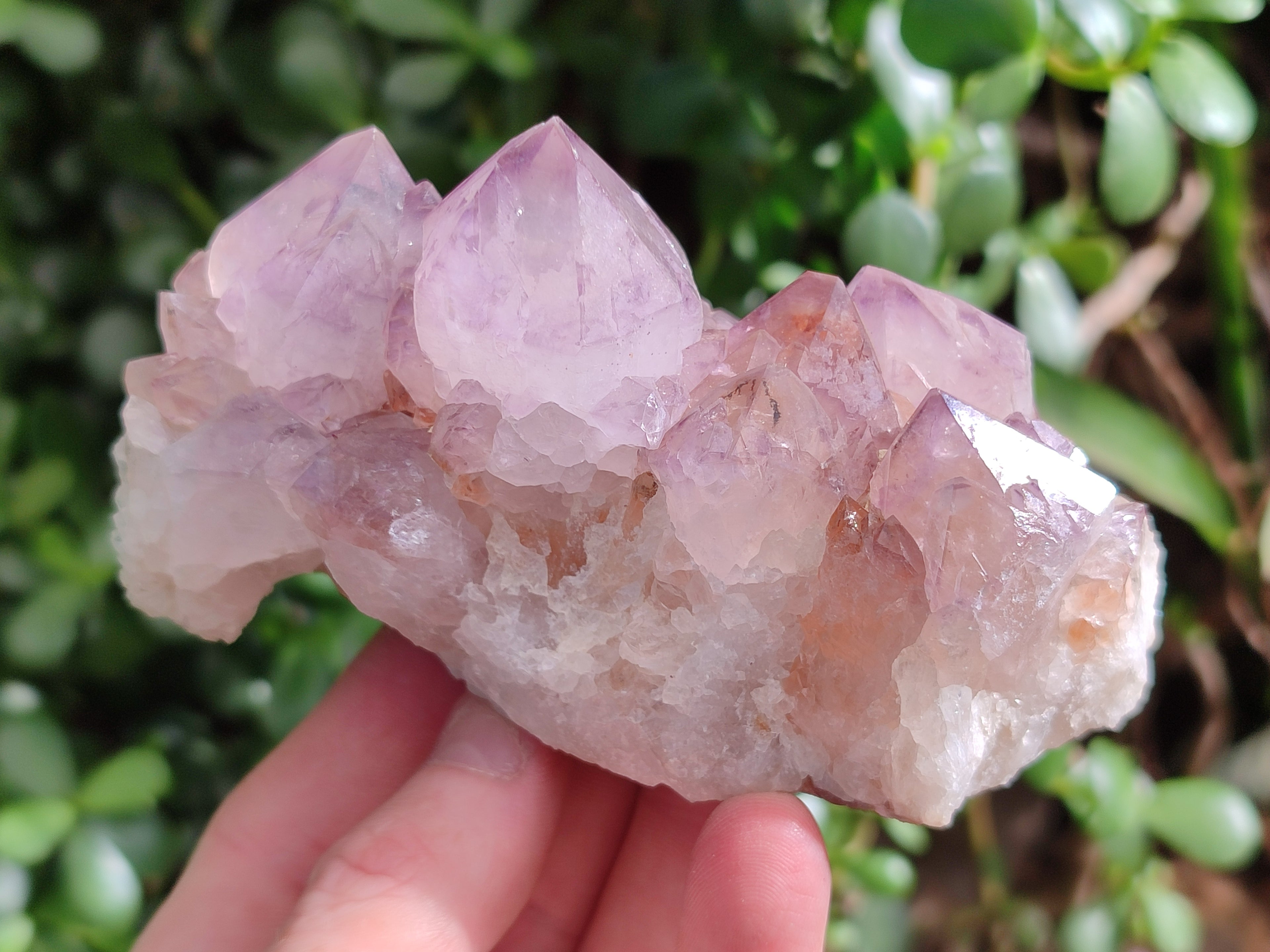 Natural Cactus Flower Smokey Amethyst Spirit Clusters x 3 From South Africa - Toprock Gemstones and Minerals 