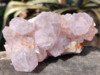 Natural Cactus Flower Smokey Amethyst Spirit Clusters x 3 From South Africa - Toprock Gemstones and Minerals 