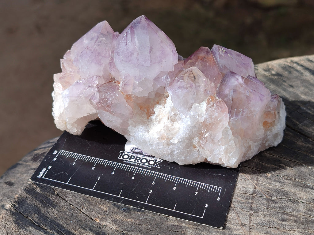 Natural Cactus Flower Smokey Amethyst Spirit Clusters x 3 From South Africa - Toprock Gemstones and Minerals 