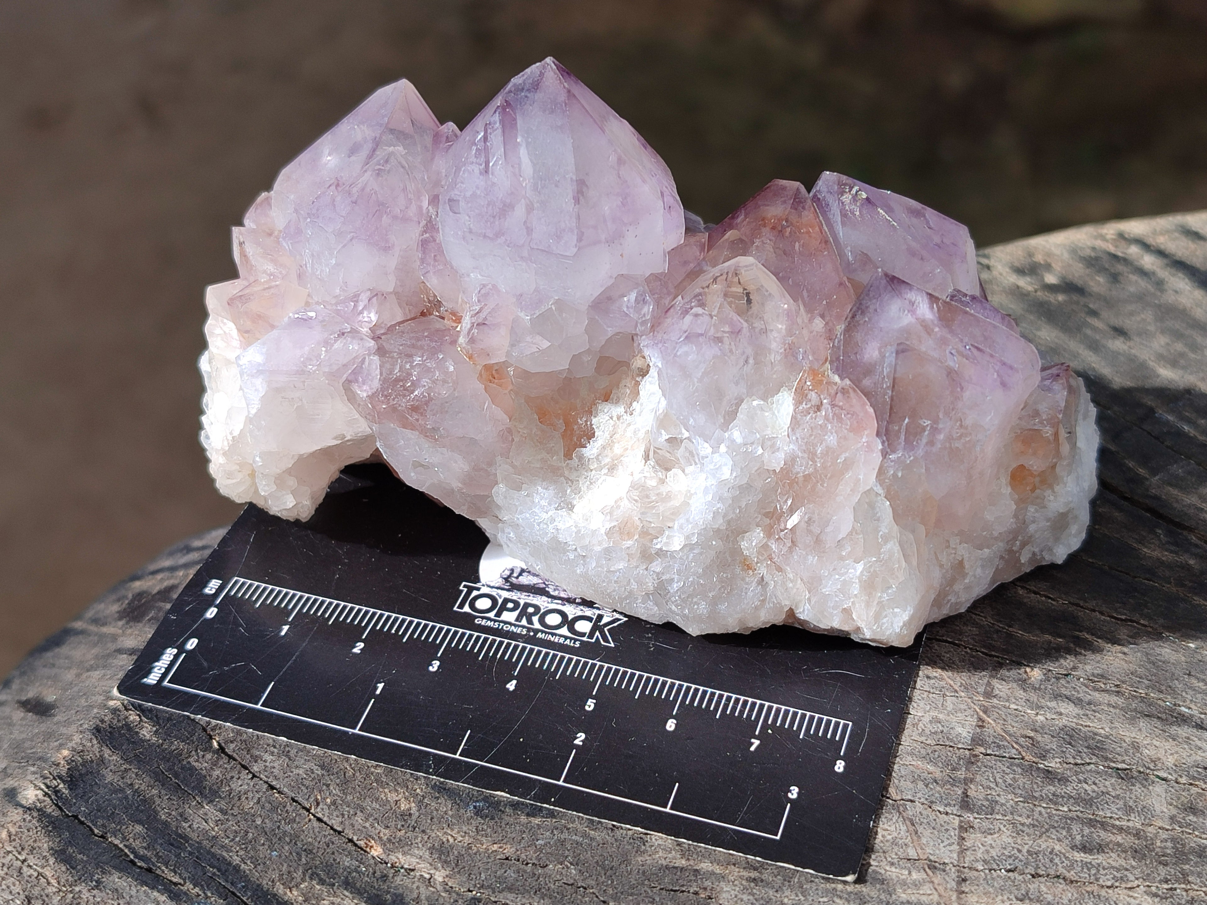 Natural Cactus Flower Smokey Amethyst Spirit Clusters x 3 From South Africa - Toprock Gemstones and Minerals 