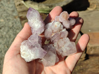 Natural Ametrine Spirit Quartz Crystals x 35 From Boekenhouthoek, South Africa - Toprock Gemstones and Minerals 