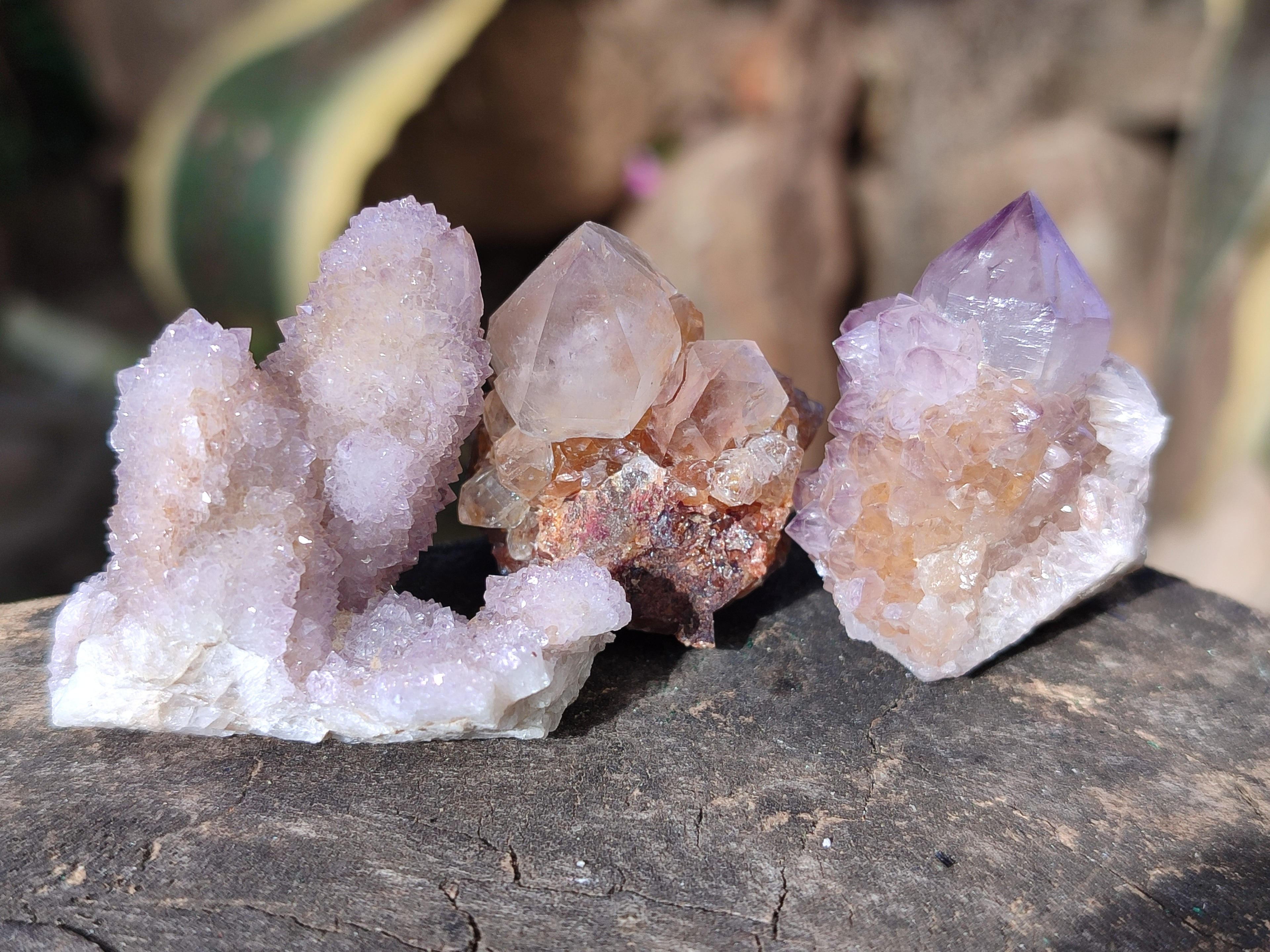Natural Ametrine Spirit Quartz Crystals x 35 From Boekenhouthoek, South Africa - Toprock Gemstones and Minerals 