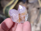Natural Ametrine Spirit Quartz Crystals x 35 From Boekenhouthoek, South Africa - Toprock Gemstones and Minerals 