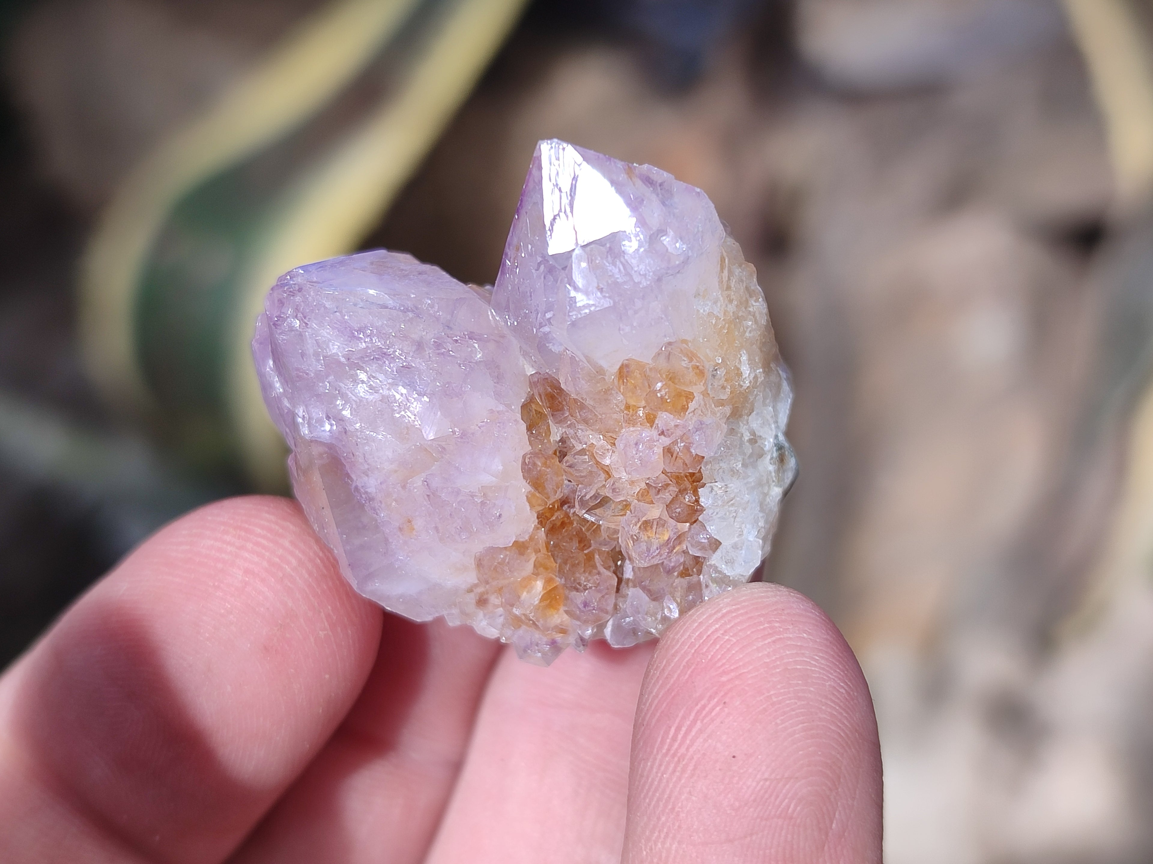 Natural Ametrine Spirit Quartz Crystals x 35 From Boekenhouthoek, South Africa - Toprock Gemstones and Minerals 