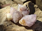 Natural Ametrine Spirit Quartz Crystals x 35 From Boekenhouthoek, South Africa - Toprock Gemstones and Minerals 