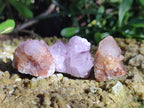 Natural Ametrine Spirit Quartz Crystals x 35 From Boekenhouthoek, South Africa - Toprock Gemstones and Minerals 