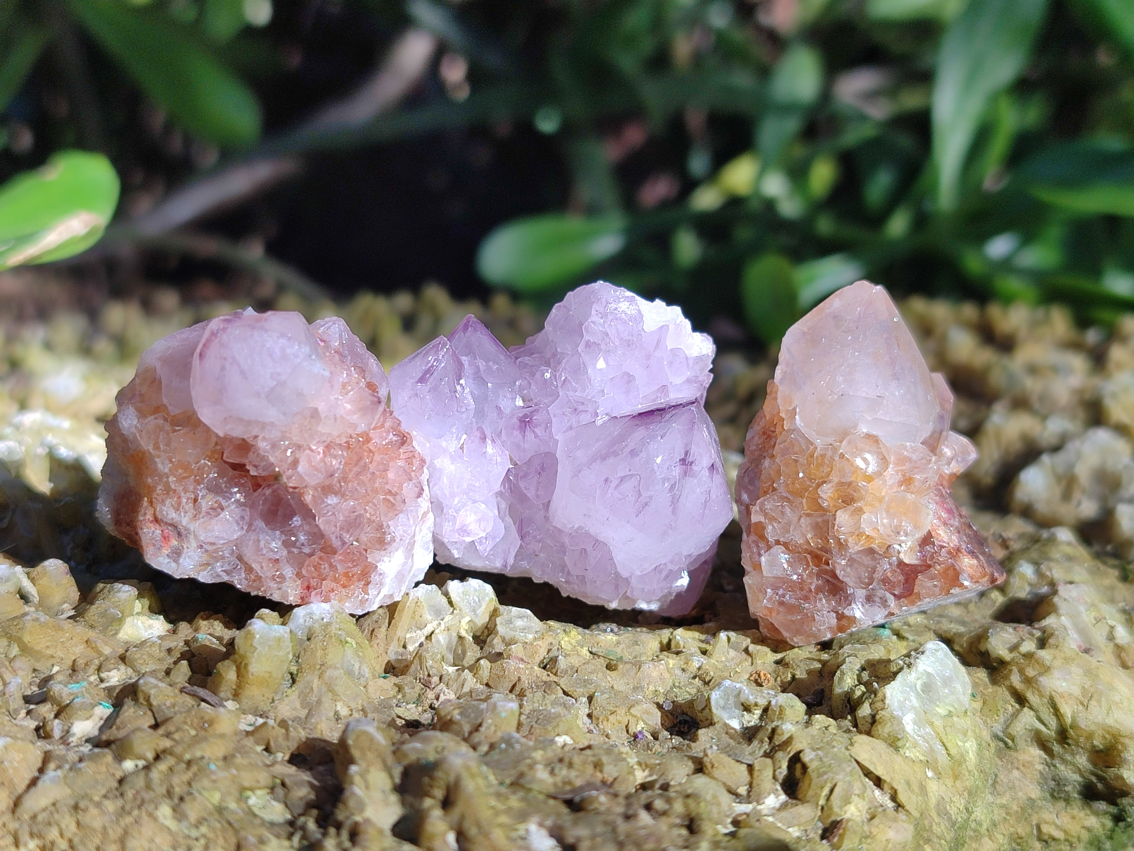 Natural Ametrine Spirit Quartz Crystals x 35 From Boekenhouthoek, South Africa - Toprock Gemstones and Minerals 