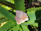 Natural Ametrine Spirit Quartz Crystals x 35 From Boekenhouthoek, South Africa - Toprock Gemstones and Minerals 