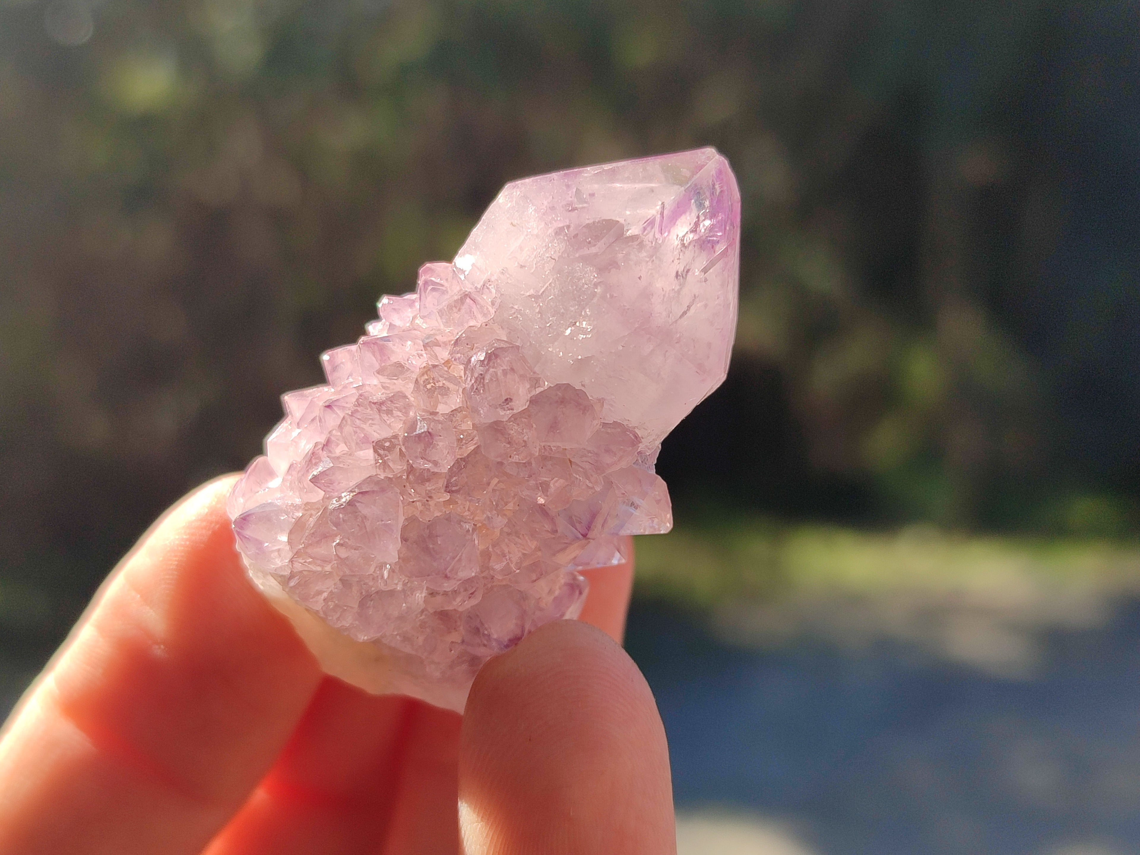 Natural Ametrine Spirit Quartz Crystals x 35 From Boekenhouthoek, South Africa - Toprock Gemstones and Minerals 