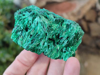 Natural Silky Malachite Specimens x 12 From Kasompe, Congo - Toprock Gemstones and Minerals 