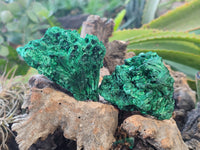 Natural Silky Malachite Specimens x 12 From Kasompe, Congo - Toprock Gemstones and Minerals 