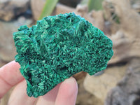 Natural Silky Malachite Specimens x 12 From Kasompe, Congo - Toprock Gemstones and Minerals 